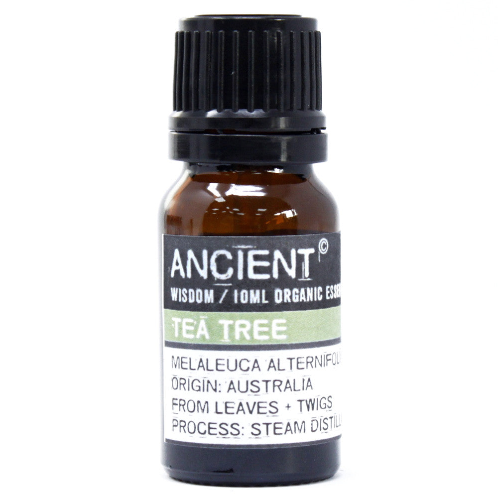 Organic Tea Tree Essential Oil 10ml - Starlit Wisdom