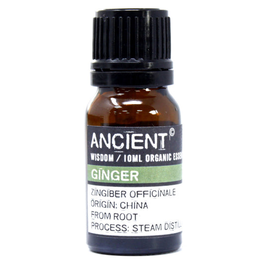 Organic Ginger Essential Oil 10ml - Starlit Wisdom