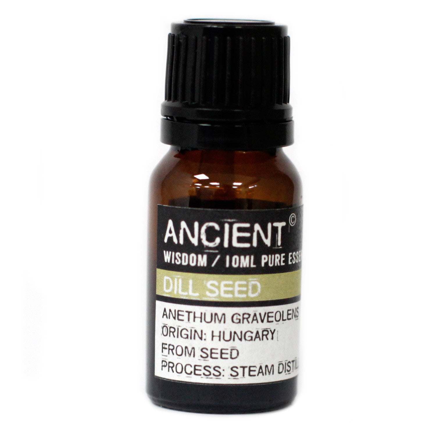 Pure Dill Seed Essential Oil 10 ml - Starlit Wisdom