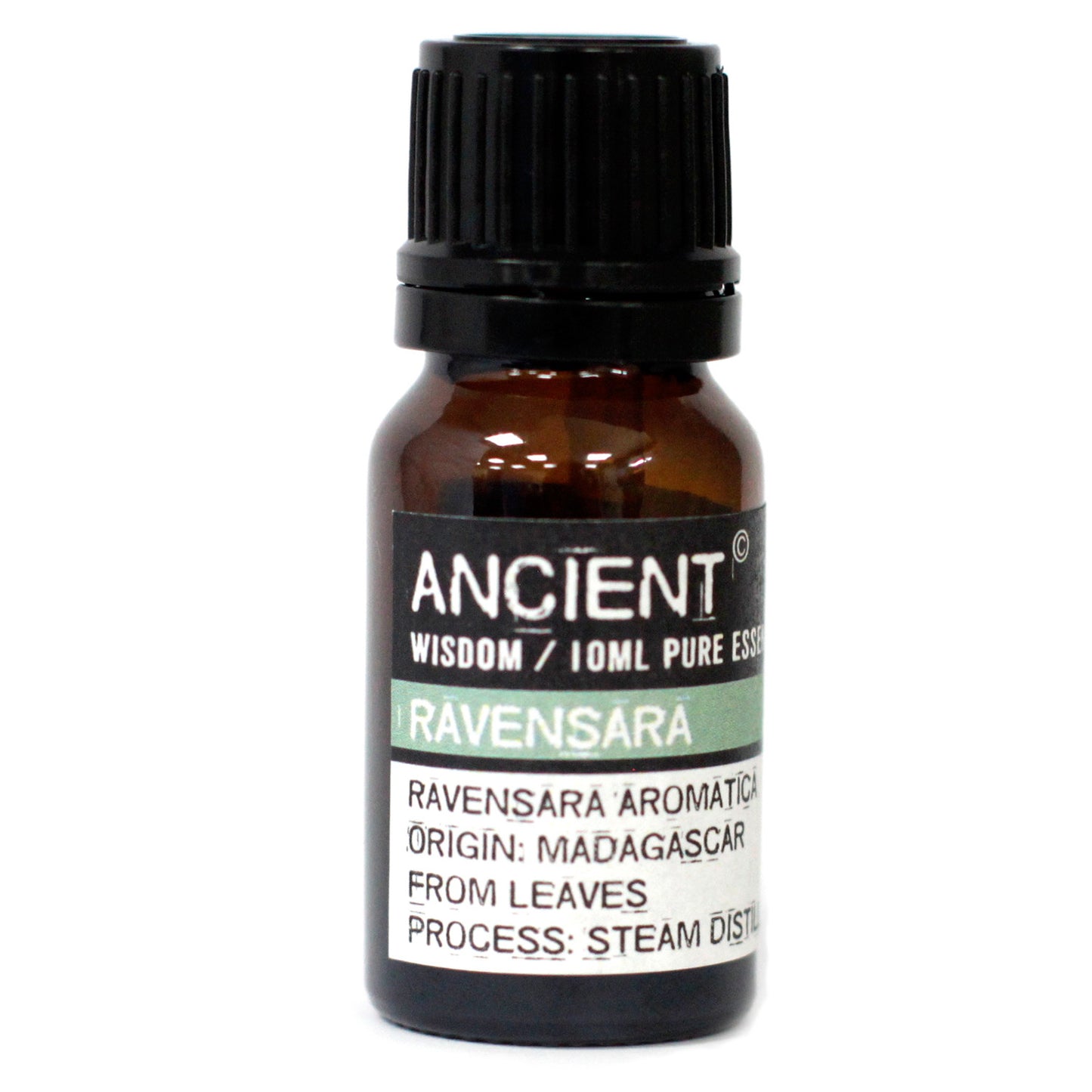Pure Ravensara Essential Oil 10 ml - Starlit Wisdom