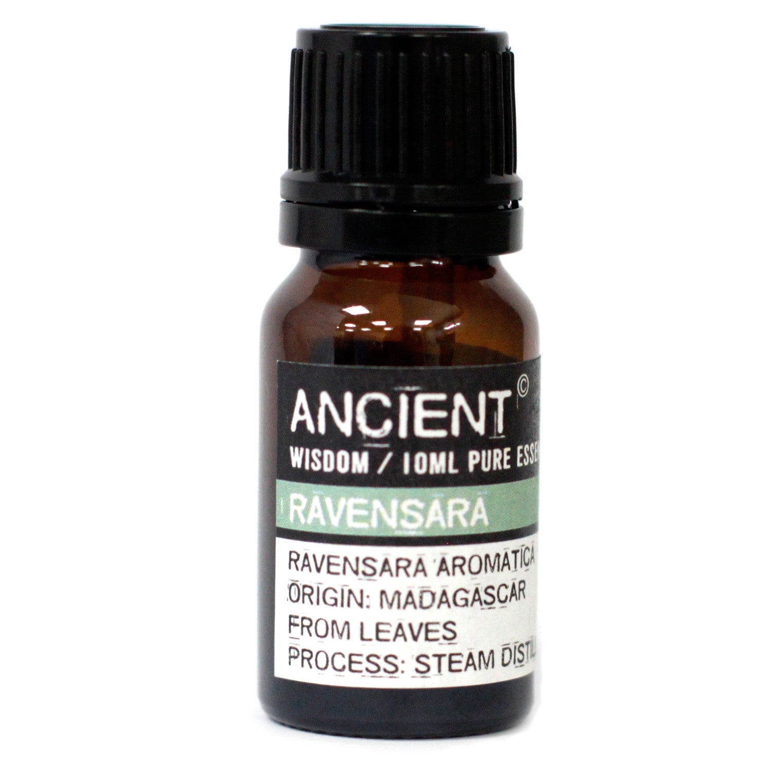 Pure Ravensara Essential Oil 10 ml - Starlit Wisdom