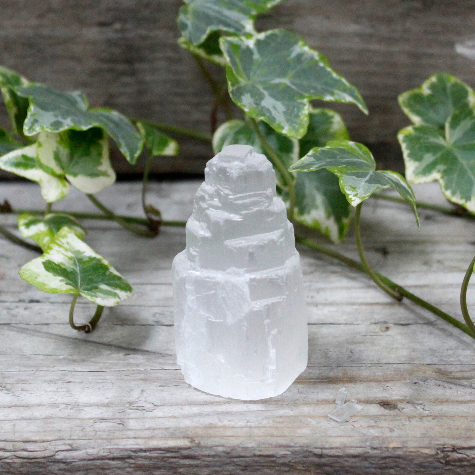 Natural Selenite Crystal Tower - 5 cm - Starlit Wisdom