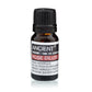 Pure Rose Dilute Essential Oil 10 ml - Starlit Wisdom