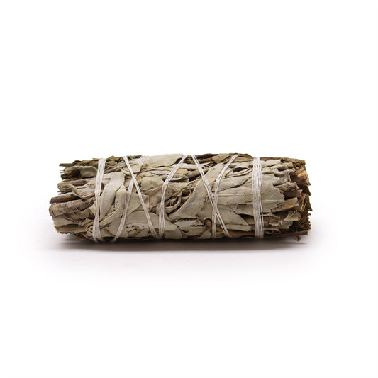 Smudge Stick - White Sage and Pirul Foliage - Starlit Wisdom