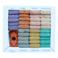 Set of 70 Incense Smudge Bricks and Burner - Wild West - Starlit Wisdom