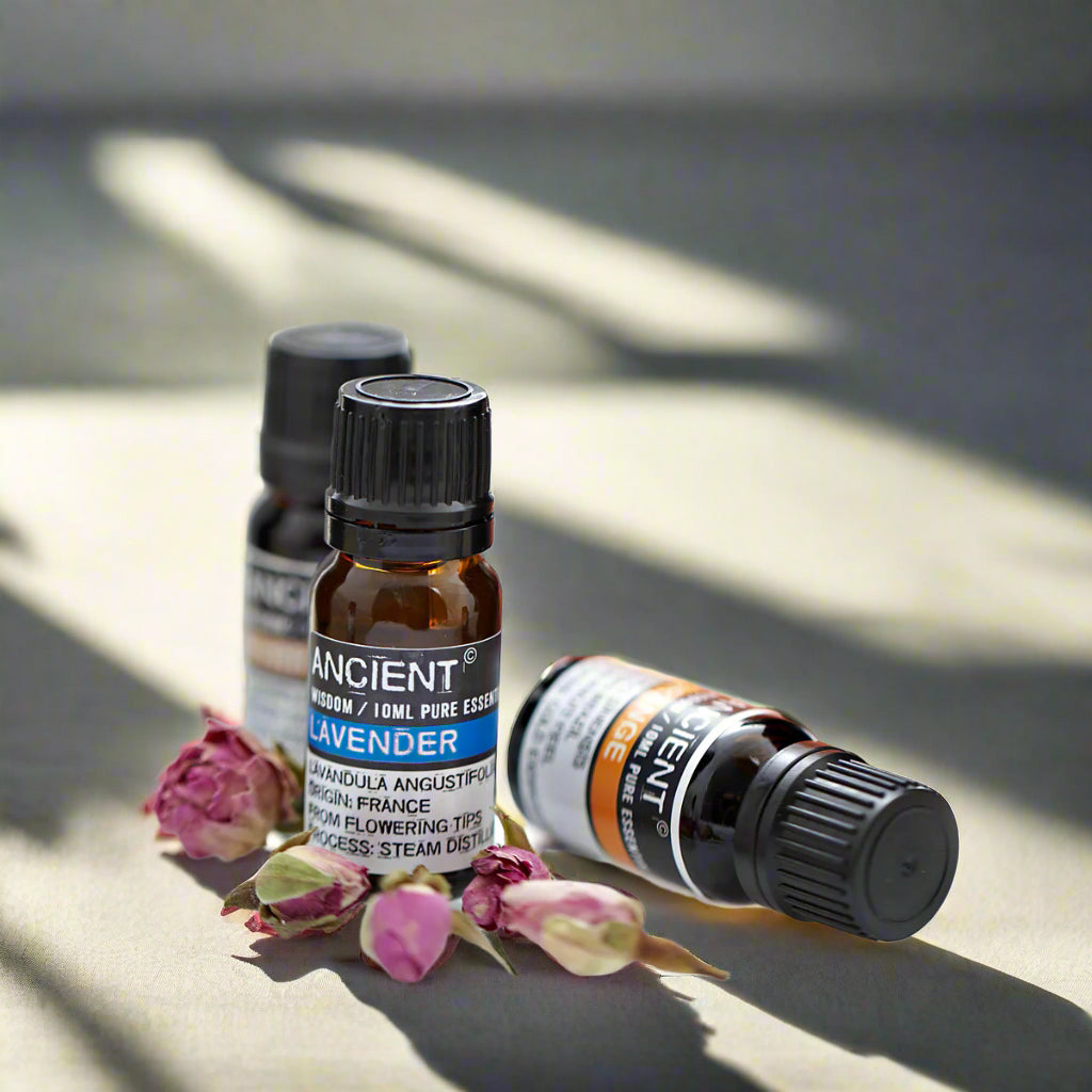 Pure Lavender Essential Oil 10 ml - Starlit Wisdom